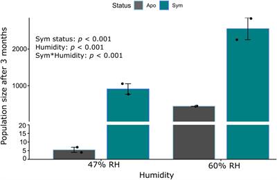 Endosymbiosis allows Sitophilus oryzae to persist in dry conditions